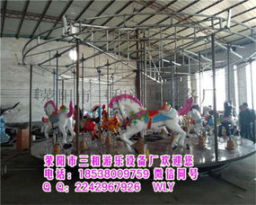 新款儿童游乐设施豪华转马HHZM 荥阳市三和游乐设备厂的专业研发与制造