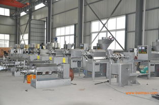 如何选择优质榨油机？重庆市场、知名品牌及上海二龙设备全解析