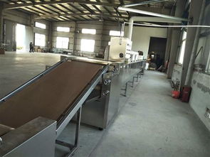 微波肉皮膨化设备 赋能大型食品加工厂的高效生产解决方案